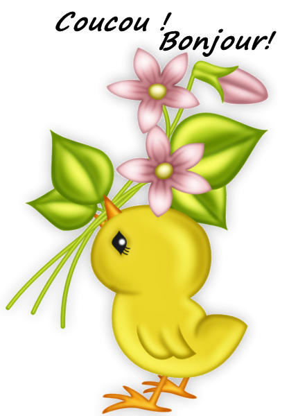 coucoubonjour